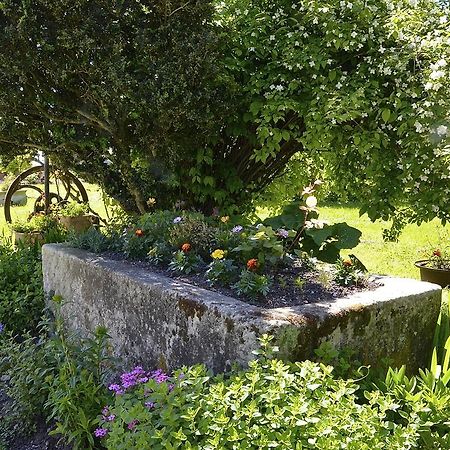 Le Vieux Noyer Bed & Breakfast Saint-Maurice-de-Tavernole Exterior foto